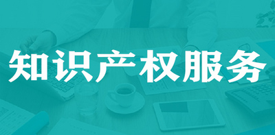知识产权服务科技
