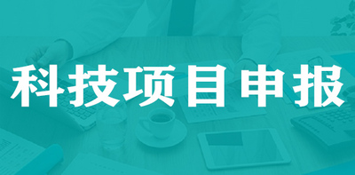 项目申报